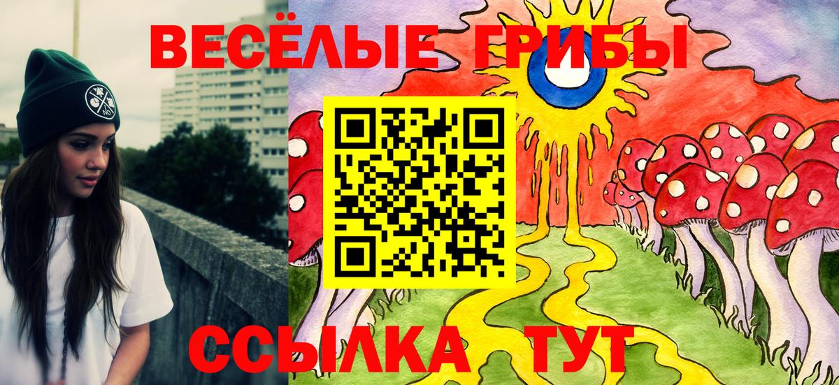 Железноводск  Псилоцибиновые грибы Cubensis  Вход с VPN 
